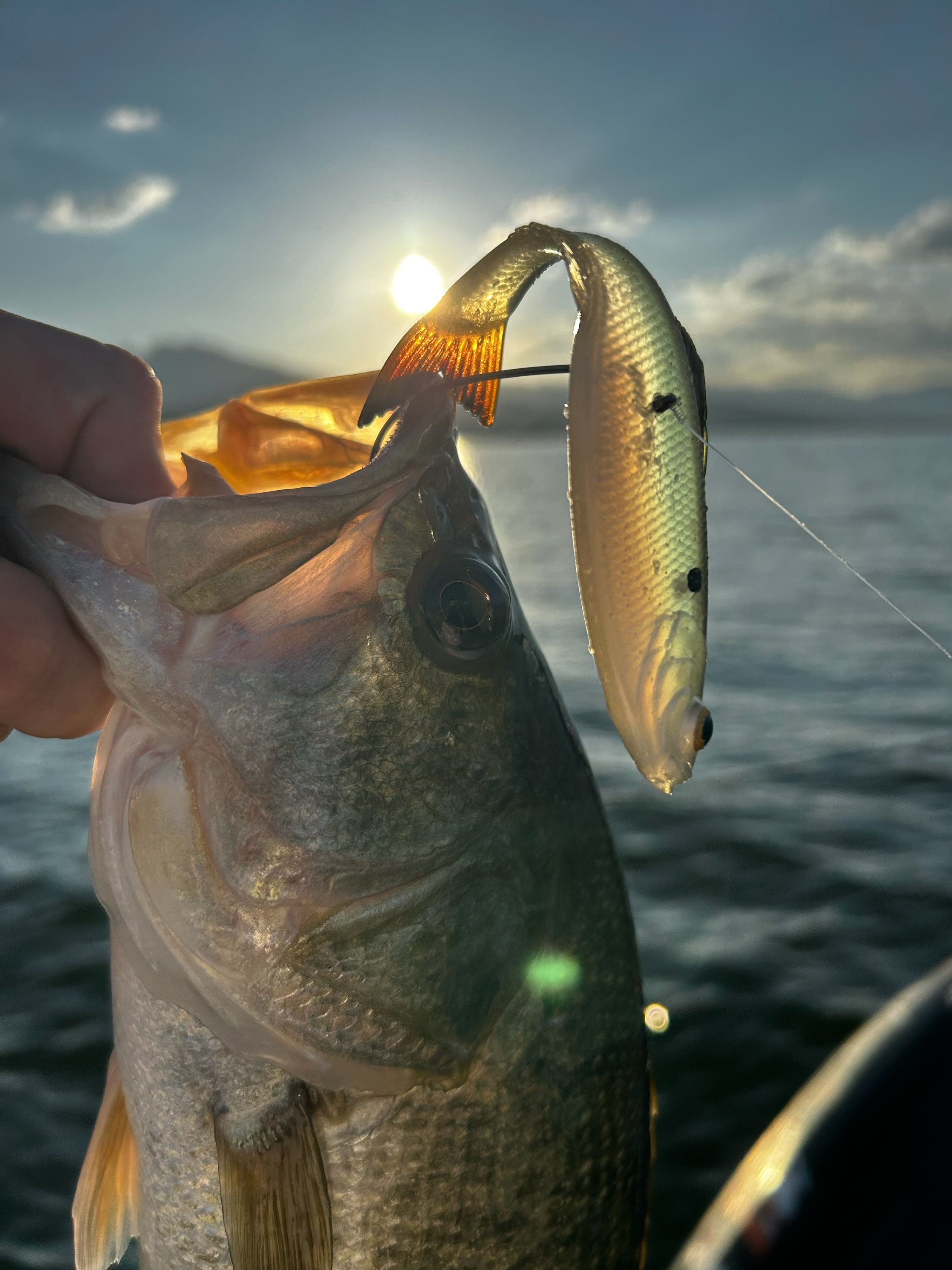 New 6th Sense Panorama!!! | Copperstate Tackle New 6th Sense Panorama!!! | Copperstate Tackle