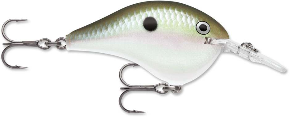 Buy green-gizzard-shad RAPALA DT SERIES CRANKBAITS / DT14 - DT20