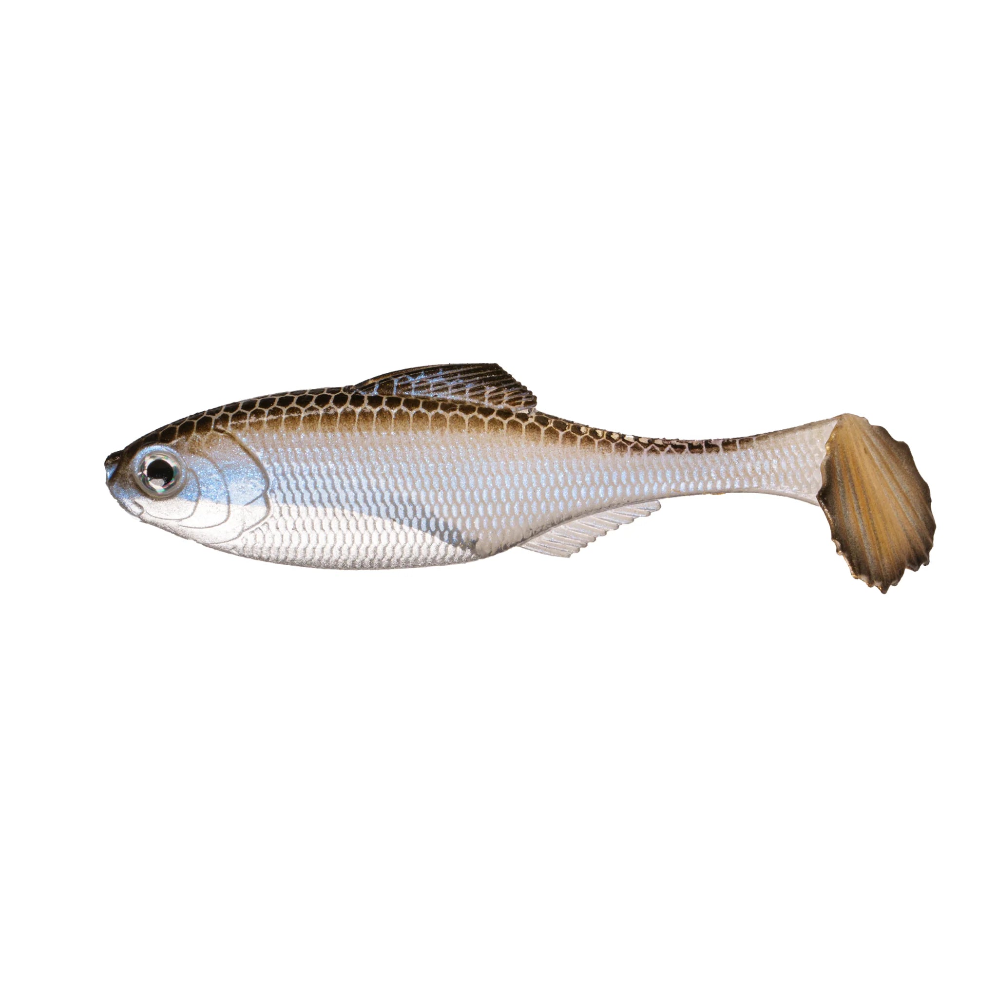 コウヘイダッシユ 6TH SENSE PANORAMA SWIMBAIT - UNRIGGED | Copperstate Tackle