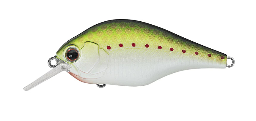 Buy olive-copper-shad EVERGREEN ZR-4 CRANKBAITS