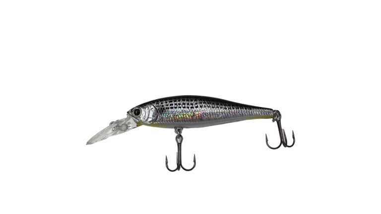 Buy spotted-shad LUCKY CRAFT POINTER 65 DD
