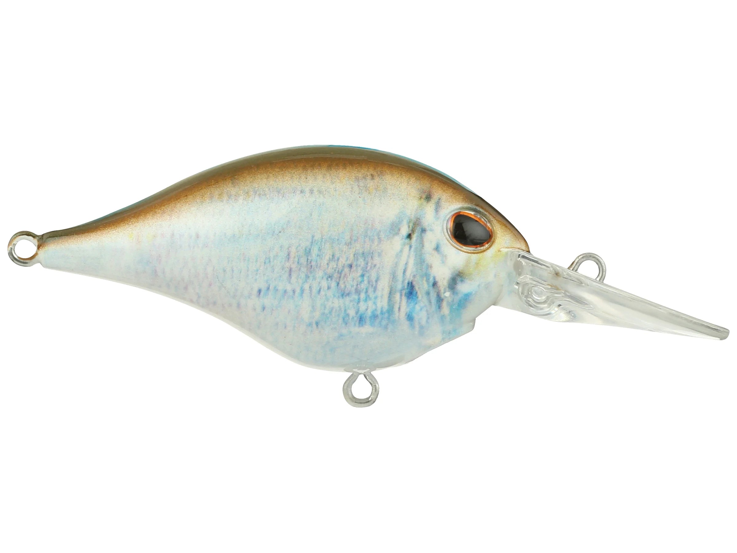 Buy hd-blue-back-herring BERKLEY DIME 6 CRANKBAIT
