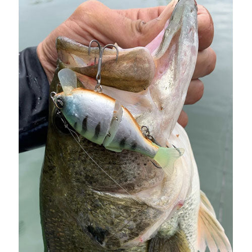 GEECRACK GILLING TWISTER 75HF