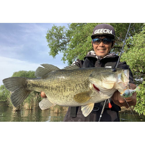 GEECRACK GILLING TWISTER 75HF