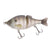 Baby Gill #009
