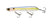 Ghost Sexy Shad
