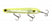 Prism Chartreuse Silver