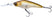 Matte Shad