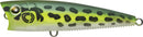 YO-ZURI 3DB POPPER-5