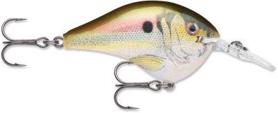 RAPALA DT SERIES CRANKBAITS / DT12