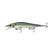 Chrome Threadfin