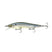 Ghost Bone Minnow