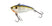 Ghost Bluegill
