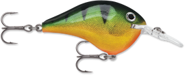 Buy perch RAPALA DT SERIES CRANKBAITS / DT4 - DT6