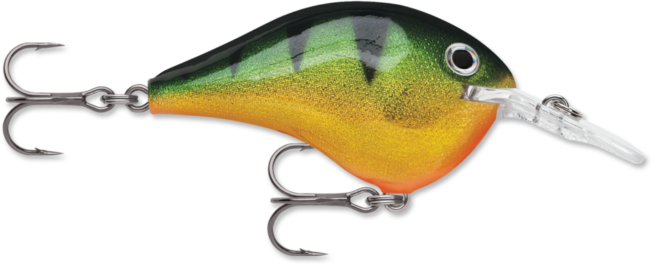 Buy perch RAPALA DT SERIES CRANKBAITS / DT4 - DT6