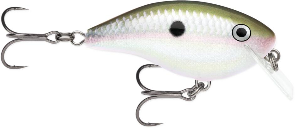 Buy green-gizzard-shad RAPALA OG BIG ROCCO