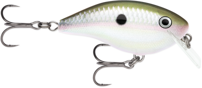 RAPALA OG BIG ROCCO