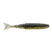 Golden Shiner