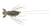 Secret Smoke