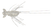 Magical Bait