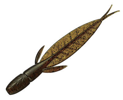 EVERGREEN C-4 LEECH