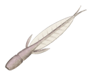 EVERGREEN C-4 LEECH-2