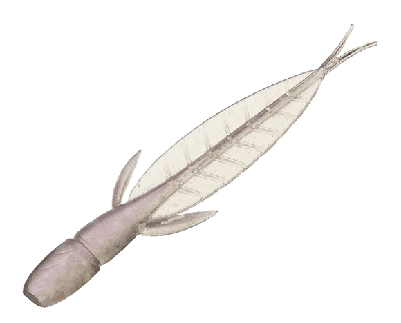 EVERGREEN C-4 LEECH
