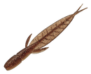 EVERGREEN C-4 LEECH-3