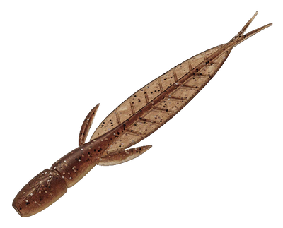 Buy goby EVERGREEN C-4 LEECH