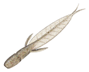 EVERGREEN C-4 LEECH-4