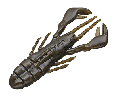 EVERGREEN CLAW MOTION
