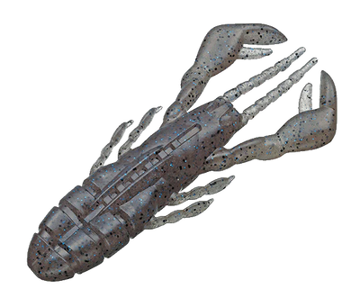 EVERGREEN CLAW MOTION