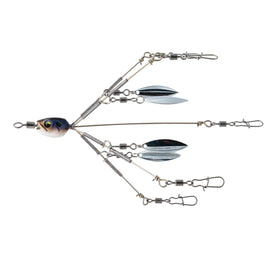 Buy 4k-shad 6TH SENSE DIVINE UMBRELLA RIG