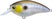 Matte Gizzard Shad