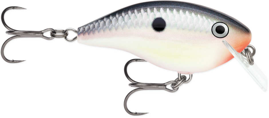 Buy tuxedo-shad RAPALA OG BIG ROCCO