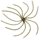 REINS UMBRELLA WIRE-1