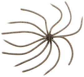 REINS UMBRELLA WIRE - 0