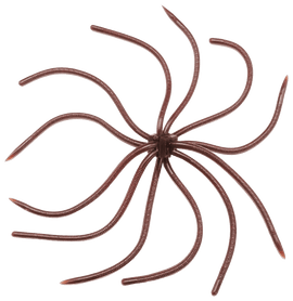 Buy scuppernong REINS UMBRELLA WIRE