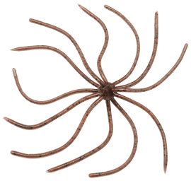 Buy ebimiso-green-pumpkin-red REINS UMBRELLA WIRE