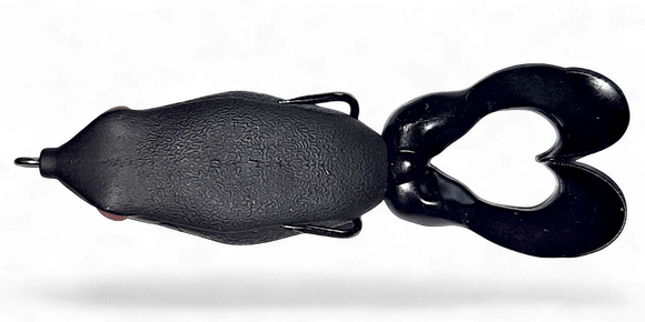 GAMBLER SWIMMING FROG