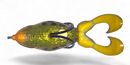 GAMBLER SWIMMING FROG-4