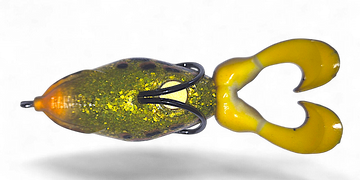 Buy yellow-belly GAMBLER SWIMMING FROG