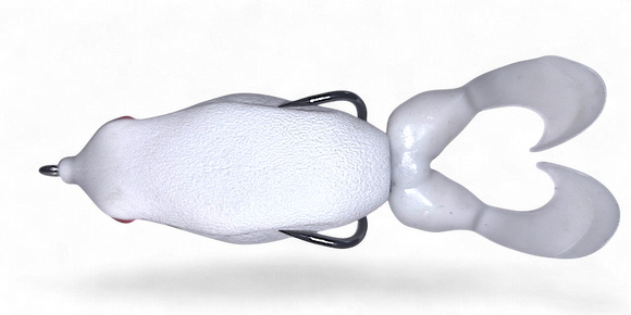 GAMBLER SWIMMING FROG