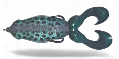 GAMBLER SWIMMING FROG