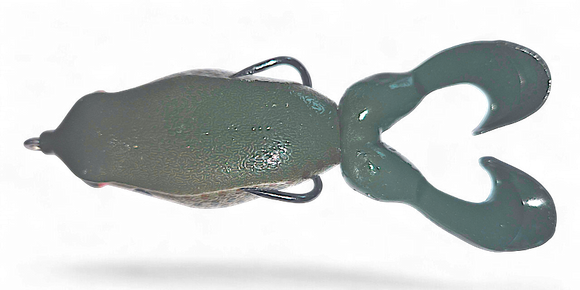 GAMBLER SWIMMING FROG