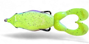 GAMBLER SWIMMING FROG-8