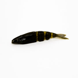 Buy green-pumpkin LAKE FORK LURE CO LIVE MAGIC SHAD V-TAIL