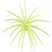 LLano Lime
