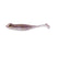 Gizzard Shad