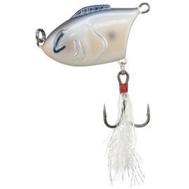 Buy oyster BILL LEWIS ZIG-ZAG